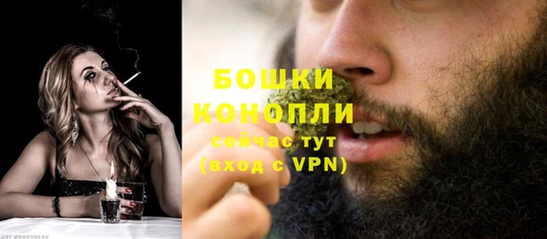 шишки Верхний Тагил