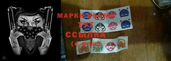 шишки Верхний Тагил