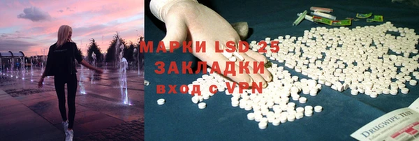шишки Верхний Тагил