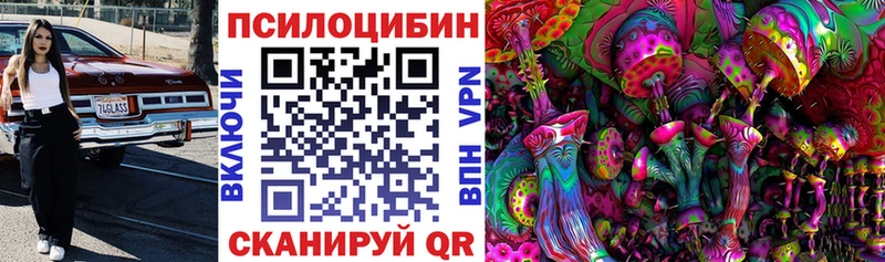 Псилоцибиновые грибы Psilocybe  Невьянск 
